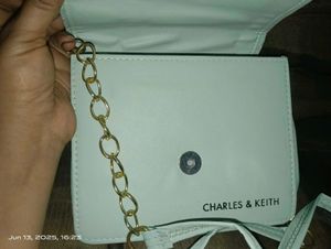 Charles &amp; Keith Quilted Crossbody Bag