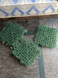 3 Set Showcase And Wall Decor Flower Plants