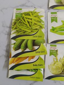 Seeds Of 15 Different Vegetables