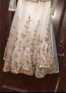 Elegant beigee &amp; Gold Embroidered gown