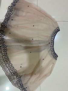 Embellished Net Dupatta