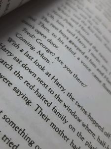 Harry Potter &amp; the Philosopher's Stone, Vol.1