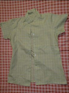 striped/plaid shirt
