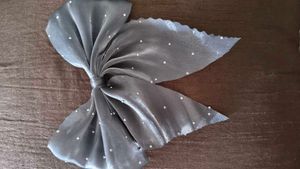 hair clip