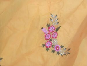 Beautiful Yellow Embroidered Gown