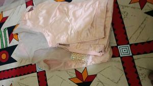 Elegant Peach Net Saree