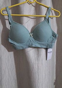 Savana by urbanic Bra