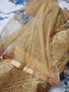 GOLDEN GOWN WTH NET DUPATTA ❤️
