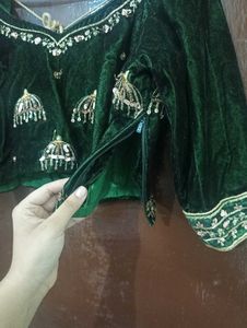 Embellished Elephant Lehenga Choli