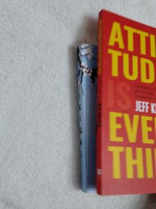 Atti Tude Is Every Thing  Ikagai Hindi Original Bo