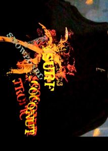 Tropical Graphic Tee Tshirt Shift