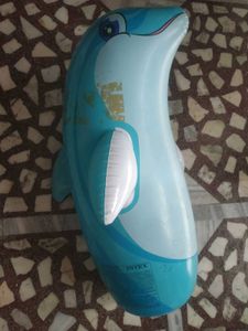 Inflatable Dolphin Toy