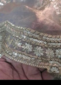 Embellished Saree