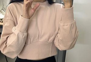 Crop Sweatshirt