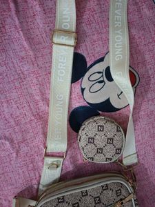Chic Crossbody Bag Set