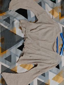 Sparkly Cropped Sweater