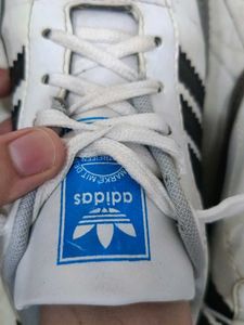 Adidas Sneakers - White/Grey