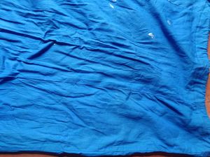 Royal Blue Stretchable Blouse and peticoat