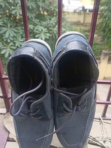 Us Polo Assn. Lofer Casual Shoes