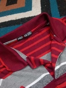 Striped Polo T-Shirt