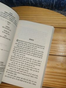 The Hidden Hindu In Hindi