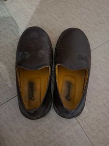 Stylish Brown Loafers