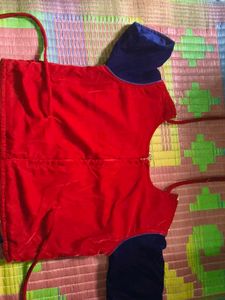 Red Velvet Blouse with Blue Sleeves
