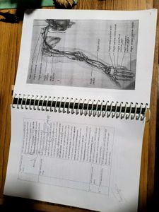 ANATOMY AND PHYSIOLOGY Textbook( BSC NURSING)