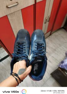 Sparx Blue Casual Shoes
