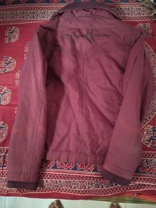 Maroon Casual Jacket