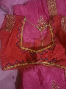 Beautiful Pink Saree with Red Blouse