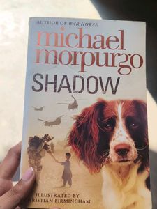 "Shadow" Story Book