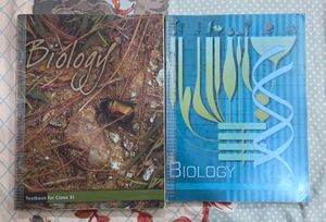 NCERT Class 11 and 12 Biology Textbooks (Set of 2)