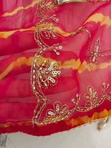 Embroidered darbari Saree