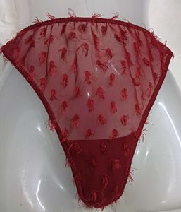 Sheer Red💛 Briefs with Tassels