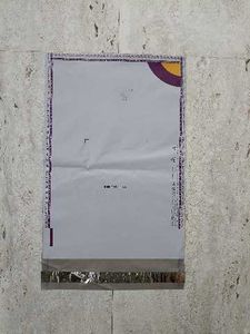 Meesho Barcoded Polybags Pack of 25