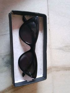 Chic Black Cat-Eye Sunglasses