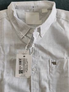 Men's Striped Long Sleeve Shirt