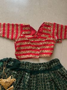 Gorgeous Sequin Lehenga Choli Set