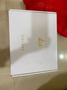 Polene most demanding Bag- copy