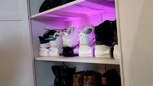 Shoe Organizer With Pull Tab