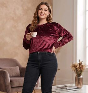 ZARA Crushed Velvet Top