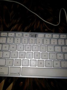 Apple Wired Keyboard A1243