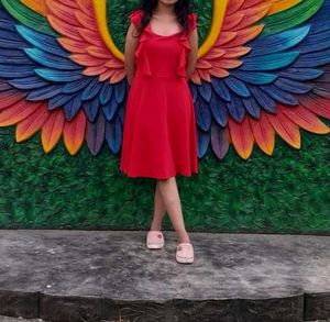 Red Flutter Sleeve Dress with Rainbow Wings