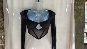 34279. Sheer Black Long Sleeve Crop Top