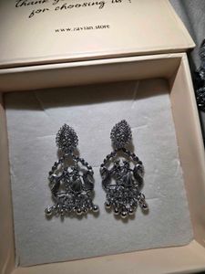 Exquisite Silver-Toned Dangler Earrings