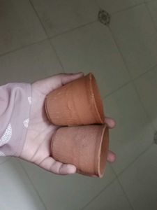 Set of 2 Terracotta Cups(mud cups)