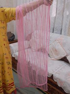 Sparkly Pink Net Dupatta