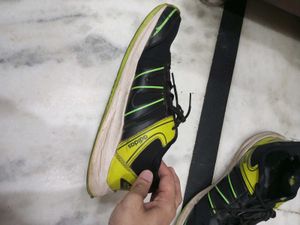 Adidas Sports Shoes