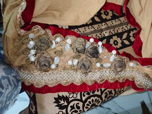 beautiful saree Elegant Ethnic Sare